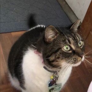 Meet your Posher, Stephenie